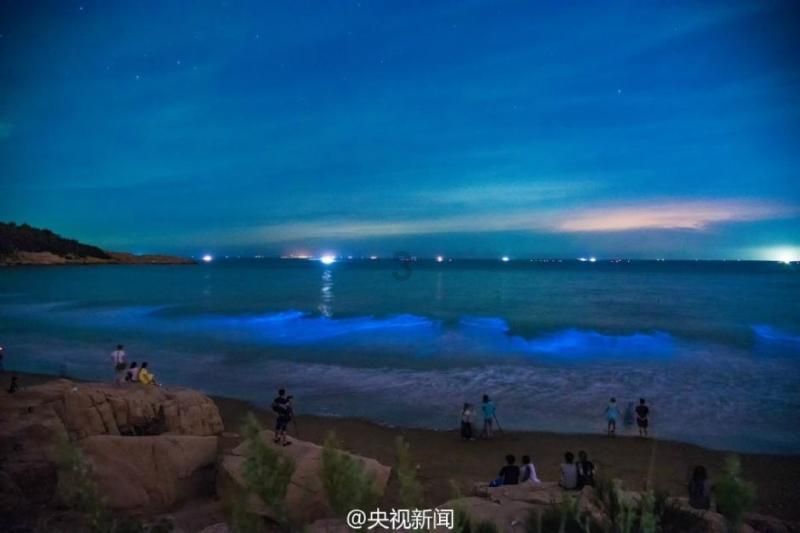 实况：王者集结