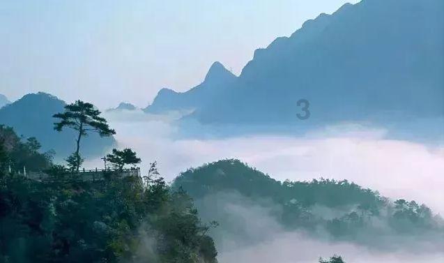 喝白粥养胃?姜茶和胃?容易陷入误区的5个养胃观点,哪些是对的