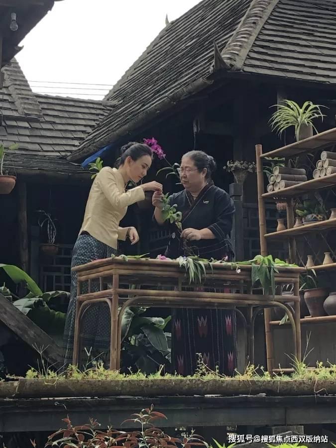 权威发布｜聊城市A级景区总数达到58家