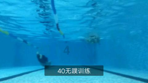 救援有趣的孔雀