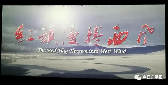 埃琳娜房间清洁