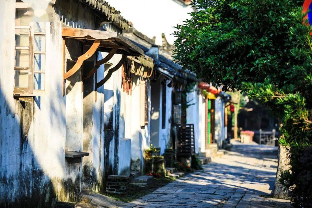 引球进框